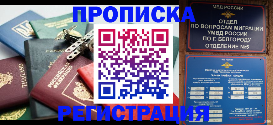 временная регистрация недорого в Наволоках